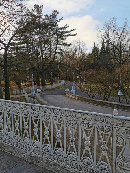 Saint Petersburg Rusya Elaginoostrovsky Sarayı Nın Ana Girişi Merdiven Taş — Stok fotoğraf