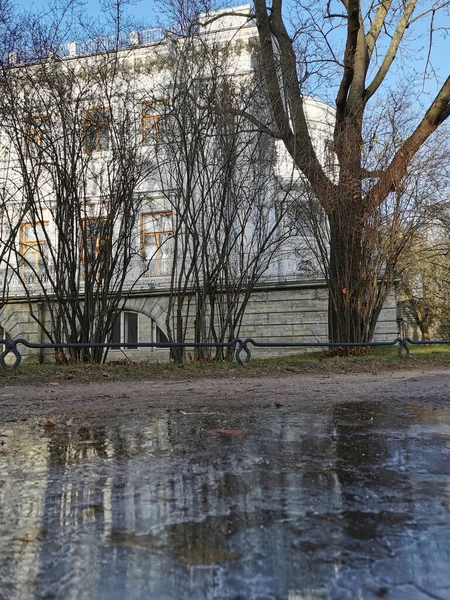 Sint Petersburg Rusland Stenen Vazen Met Bloembedden Met Planten Waarvan — Stockfoto