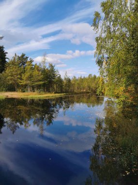 Aziz Petersburg. - Rusya. Çitin manzarası, beyaz bir aslan heykeli, bir petrol çayırı, güzel bir fener, bir köşk ve Elagin Adası 'ndaki parkta sonbahar yaprakları.