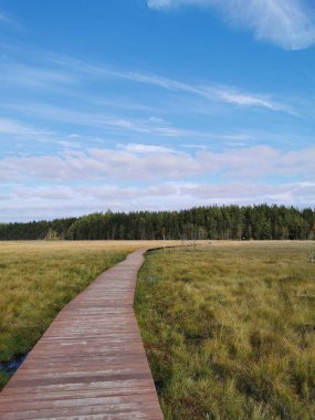 Aziz Petersburg. - Rusya. Çitin manzarası, beyaz bir aslan heykeli, bir petrol çayırı, güzel bir fener, bir köşk ve Elagin Adası 'ndaki parkta sonbahar yaprakları.