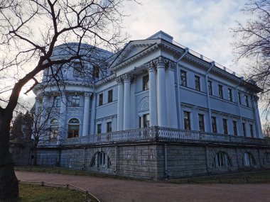 Gri Elaginoostrovsky Sarayı, yaprakları dökülen ağaçların arasında St. Petersburg sonbahar parkında bulutlu mavi bir gökyüzüne karşı..