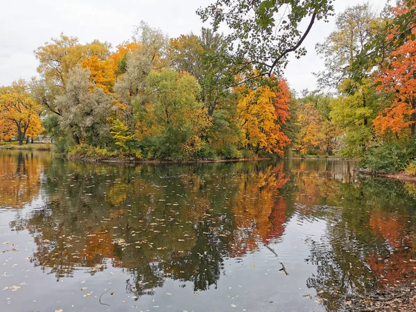 池塘岸边生长着五彩斑斓的树叶 反映在圣彼得堡Elagin岛上公园的水面上 — 图库照片