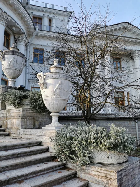 San Petersburgo Rusia Jarrones Piedra Con Macizos Flores Con Plantas — Foto de Stock