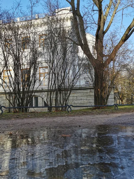 Sint Petersburg Rusland Uitzicht Witte Leeuwensculptuur Olieweide Paviljoen Herfstblad Bomen — Stockfoto