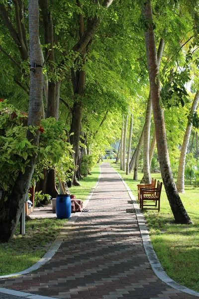 Maldivas Uma Estrada Pedonal Território Hotel Feita Azulejos Multicoloridos Com — Fotografia de Stock