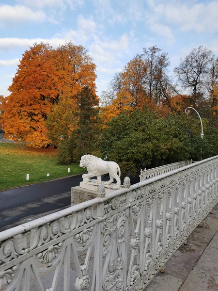 Saint Pétersbourg Russie Vue Sur Clôture Une Sculpture Lion Blanc — Photo