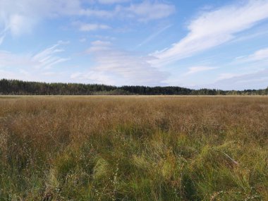 Maldivler. Kırmızı bluzlu güzel bir sarışın kız ve beyaz etekli bir kız beyaz kum, shezloglar ve turkuaz suyla Hint Okyanusu kıyısına bisikletle geldiler.. 
