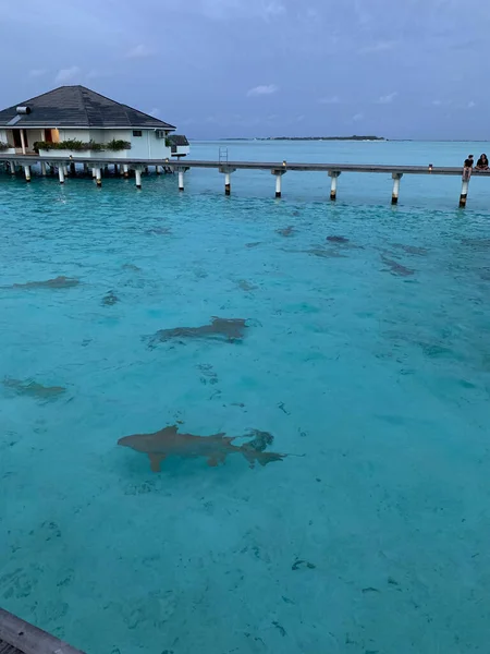 Закат Мальдивах Над Водными Виллами Лазурными Водами Индийского Океана Которых — стоковое фото