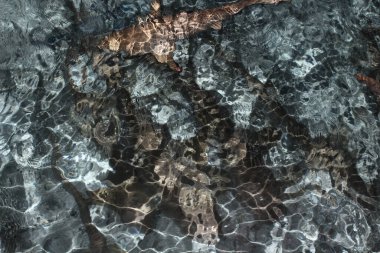 Maldivler 'de akşam üzeri. Hint Okyanusu 'nun berrak sularında küçük köpekbalıkları ve vatozlar yüzer..