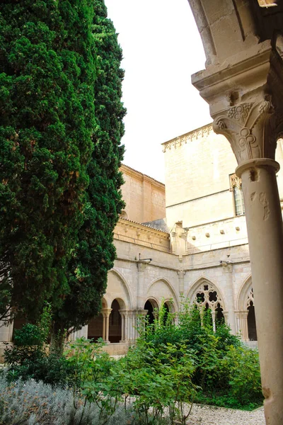 緑の中庭とポブレット修道院 猫の石造りのアーチを彫った サンタ マリア ポブレット修道院 Reial Monester Santa Maria Poblet — ストック写真