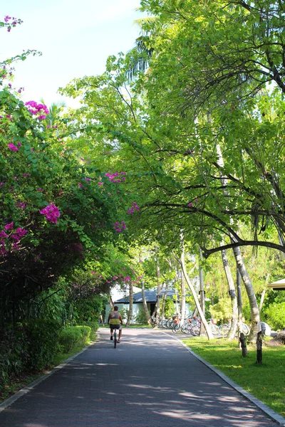 Maldivas Jovem Bronzeado Shirt Monta Uma Bicicleta Uma Estrada Paralelepípedos — Fotografia de Stock