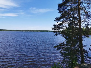 Vyborg Körfezi kıyılarının manzarası açık bir yaz gününde Vyborg şehrinin kayalık doğal parkından Monrepos..