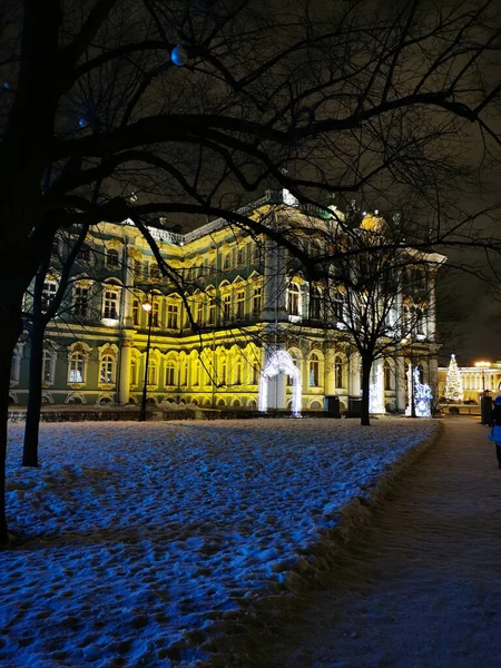 Iluminación Festiva Para Navidad Año Nuevo Forma Arcos Jardín Del — Foto de Stock