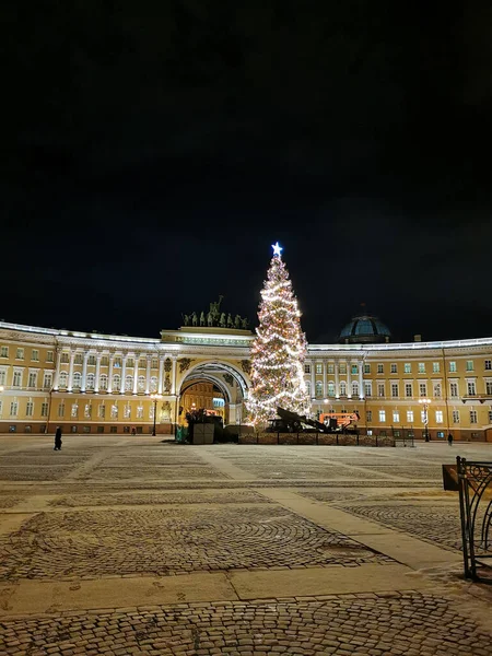 Palace Square Petersburg General Staff Building Natural Spruce Which Decorated — Stock Photo, Image