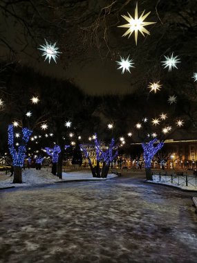 St. Petersburg 'daki St. Isaac Meydanı' nda ağaçlar, karanlık bir kış sabahında Noel ve yeni yıl için yıldızlar ve mavi çelenklerle süslenmiş..