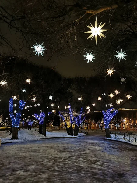 St. Petersburg 'daki St. Isaac Meydanı' nda ağaçlar, karanlık bir kış sabahında Noel ve yeni yıl için yıldızlar ve mavi çelenklerle süslenmiş..