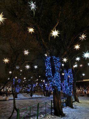 St. Petersburg 'daki St. Isaac Meydanı' nda ağaçlar, karanlık bir kış sabahında Noel ve yeni yıl için yıldızlar ve mavi çelenklerle süslenmiş..
