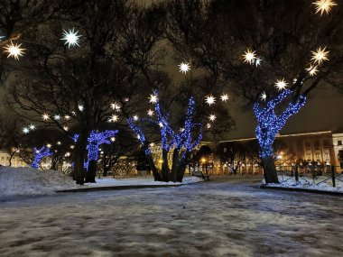 St. Petersburg 'daki St. Isaac Meydanı' nda ağaçlar, karanlık bir kış sabahında Noel ve yeni yıl için yıldızlar ve mavi çelenklerle süslenmiş..
