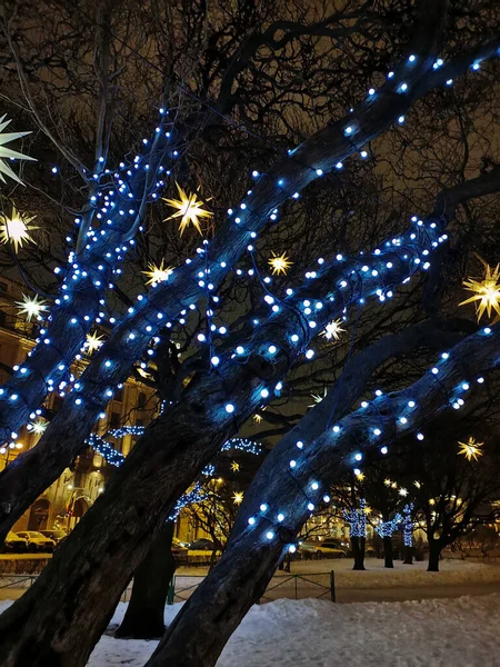 Árvores Praça São Isaac São Petersburgo Decoradas Com Estrelas Guirlandas — Fotografia de Stock