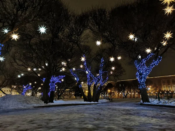 Дерева Площі Святого Ісаака Санкт Петербурзі Прикрашені Зірками Синіми Садами — стокове фото