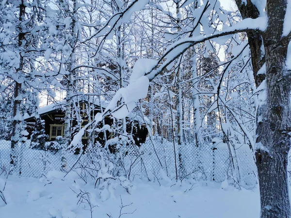 Тёмный Одноэтажный Деревянный Дом Жёлтыми Окнами Снегу Сеткой Среди Заснеженных — стоковое фото