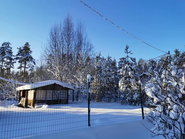 Una Oscura Casa Madera Piso Nieve Detrás Una Red Entre —  Fotos de Stock