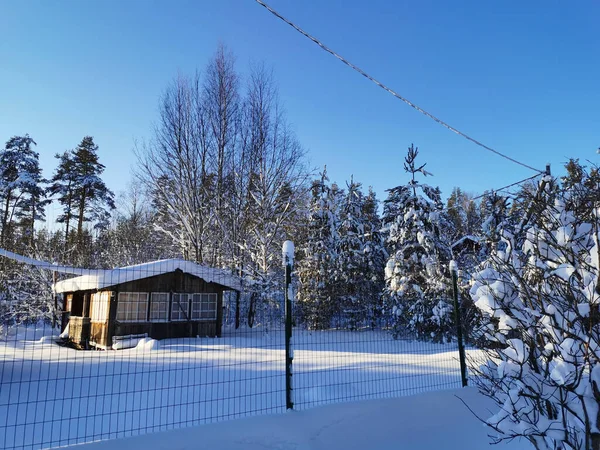 A dark one-story wooden house in the snow behind a netting among snow-covered trees on a frosty winter day. Leningrad region.