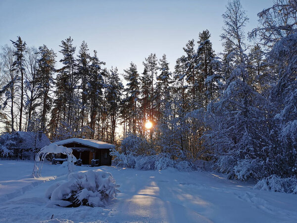 A one-story wooden house - a bathhouse made of a round dark-colored log in the snow among snow-covered trees against the backdrop of the setting sun on a frosty winter day. Leningrad region.