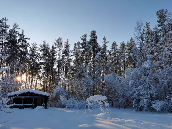 One Story Wooden House Bathhouse Made Dark Colored Log Snow — Stock Photo, Image