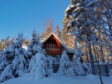 Aziz Petersburg. - Rusya. Nicholas 1 'in anıtı. Rus İmparatoru. Etrafı eski bir çit ve güzel fenerlerle çevrili..