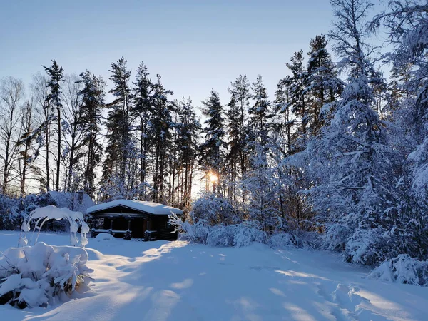 Aziz Petersburg. - Rusya. Nicholas 1 'in anıtı. Rus İmparatoru. Etrafı eski bir çit ve güzel fenerlerle çevrili..