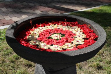 Maldivler 'de güneşli bir gün. Çimlerin üzerinde duran bir vazo. Beyaz ve kırmızı çiçekler daireler çiziyor..