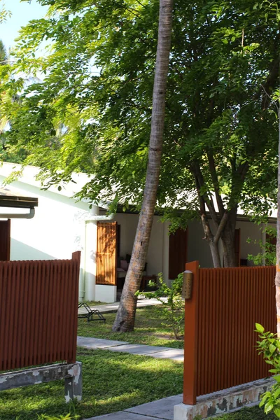 Dia Nas Maldivas Moradias Entre Árvores Tropicais Altas Atrás Uma — Fotografia de Stock