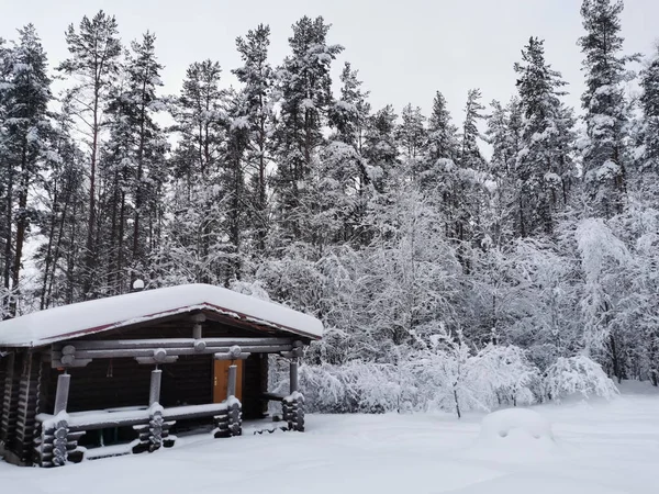 1階建ての木造家屋 雪に覆われた木々の間の雪の中で丸みを帯びた暗い色のログで作られた浴室は灰色の曇りの空に対して レニングラード地方 — ストック写真