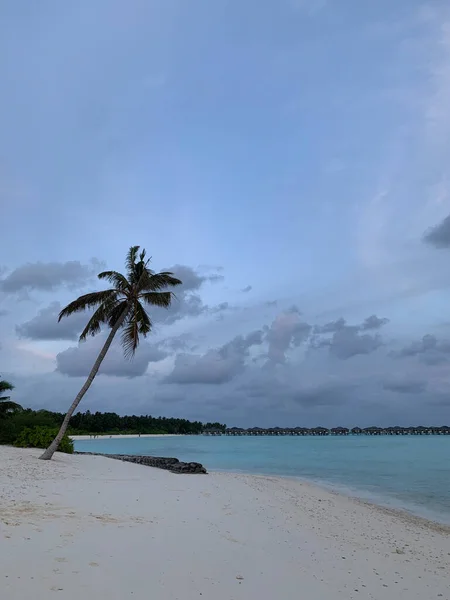 Pôr Sol Nas Maldivas Vista Para Oceano Índico Com Areia — Fotografia de Stock