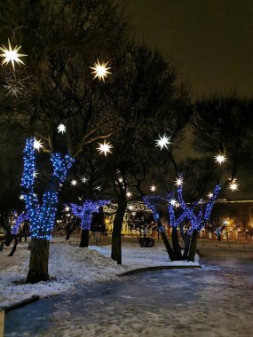 St. Petersburg 'daki St. Isaac Meydanı' nda ağaçlar, karanlık bir kış sabahında Noel ve yeni yıl için yıldızlar ve mavi çelenklerle süslenmiş..