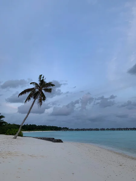 Tramonto Alle Maldive Vista Sull Oceano Indiano Con Sabbia Bianca — Foto Stock