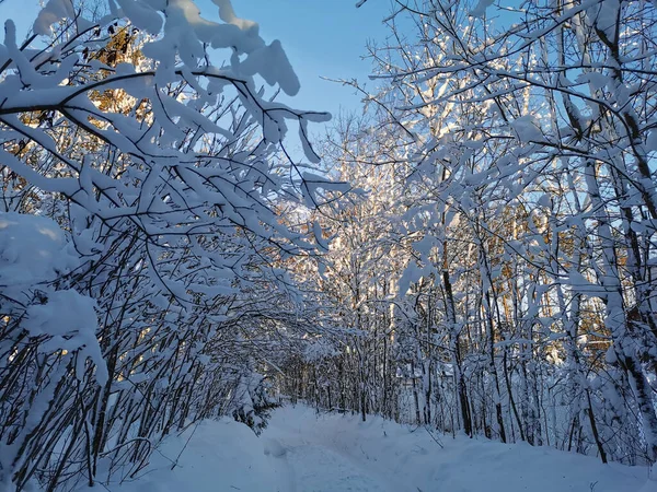 Leningradská Oblast Russia Dospělý Muž Lopaty Sníh Střechy Verandy Venkovského — Stock fotografie