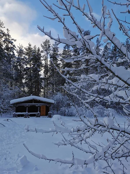 Ett Enplanshus Trä Ett Badhus Gjort Rund Mörkfärgad Stock Snön — Stockfoto