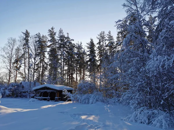 Jednopatrový Dřevěný Dům Lázně Kulatého Tmavého Kmene Sněhu Mezi Zasněženými — Stock fotografie