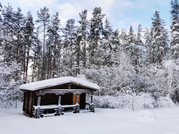 Одноэтажный Деревянный Дом Баня Круглого Тёмного Бревна Снегу Среди Заснеженных — стоковое фото