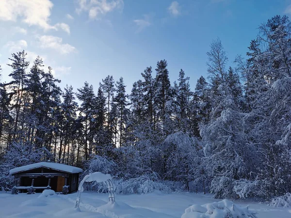 Jednopatrový Dřevěný Dům Lázně Kulatého Tmavého Kmene Sněhu Mezi Zasněženými — Stock fotografie