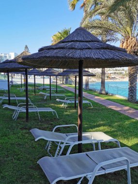 Protaras. Kıbrıs. Akdeniz kıyısında yeşil bitkiler ve taşlar, İncir Ağacı Koyu 'nun kumlu sahili ve bulutlu mavi bir gökyüzünün arka planındaki ada..