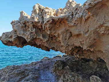 Protaras. Kıbrıs. Akdeniz kıyısında yeşil bitkiler ve taşlar, İncir Ağacı Koyu 'nun kumlu sahili ve bulutlu mavi bir gökyüzünün arka planındaki ada..