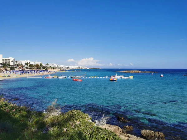 Πρωταρά Κύπρος Ακτή Της Μεσογείου Πράσινα Φυτά Και Πέτρες Θέα — Φωτογραφία Αρχείου