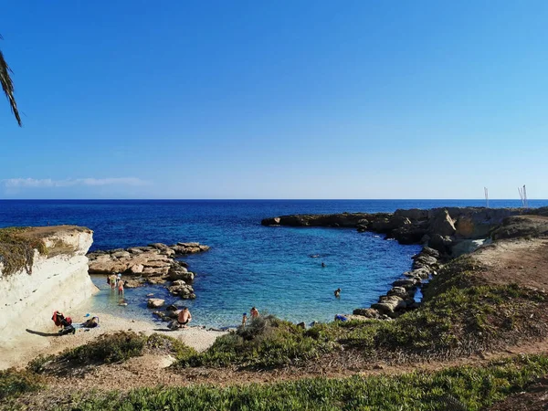 Protaras Chipre Costa Mar Mediterrâneo Com Plantas Verdes Pedras Uma — Fotografia de Stock