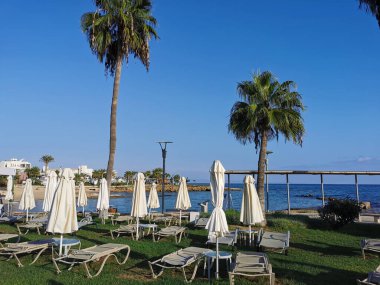 Protaras 'ta Kıbrıs' ta sabah. Yığılmış güneş şezlongları, yakınlardaki yuvarlak masalar ve güneş şemsiyeleri, deniz kıyısındaki çimlerin üzerinde, parlak mavi bulutsuz bir gökyüzüne karşı bir palmiye ağacı etrafında duran.