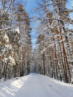 Protaras. Kıbrıs. Bir grup insanın yoga yaptığı Akdeniz kıyılarında bir gözlem güvertesi..