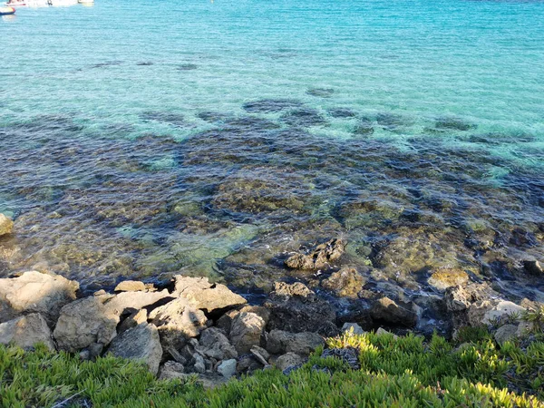 Protaras Zypern Eine Aussichtsplattform Ufer Des Mittelmeeres Eine Gruppe Von — Stockfoto