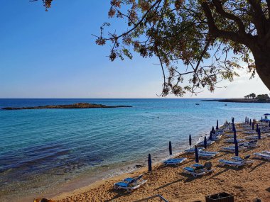 Protaras. Kıbrıs. En berrak denizden, insanların güneşlenip yüzdüğü İncir Ağacı Koyu plajına, bulutsuz bir gökyüzüne karşı otellere ve restoranlara..